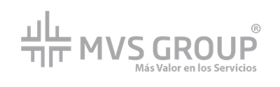 MVS Group